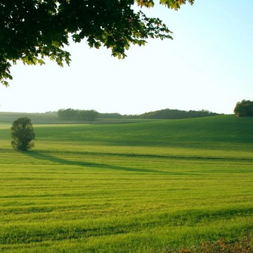 Ap-PFolioNature-020.jpg