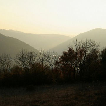 Ap-PFolioNature-024.jpg